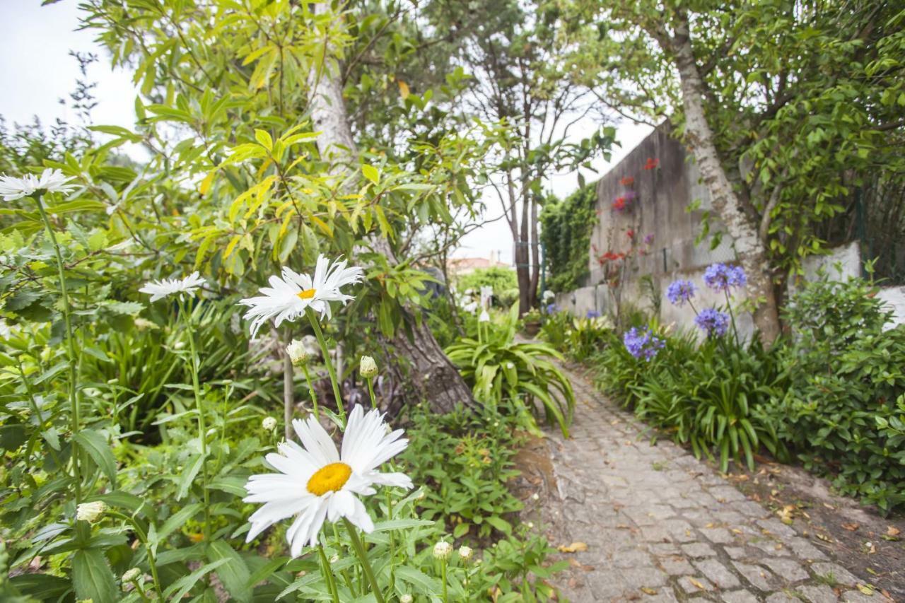 Beautiful Country House&Romantic Garden سينترا المظهر الخارجي الصورة