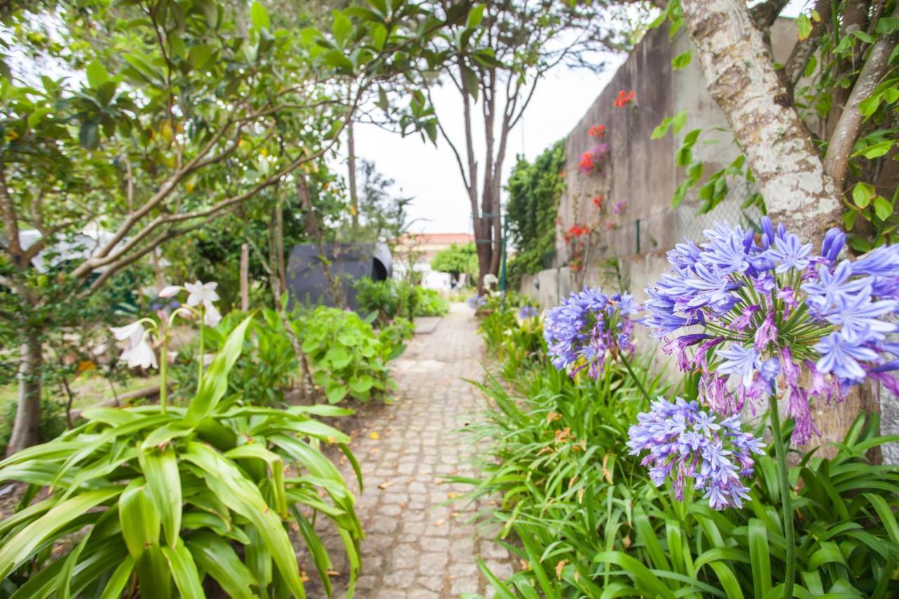 Beautiful Country House&Romantic Garden سينترا المظهر الخارجي الصورة